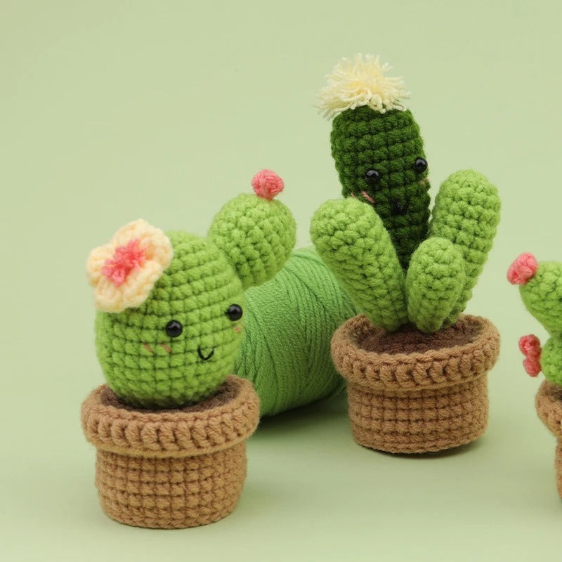 DIY Crochet Material Package for Beginners – Create Your Own Potted Plants 🌿🧶