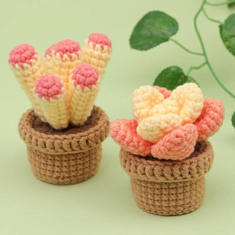 DIY Crochet Material Package for Beginners – Create Your Own Potted Plants 🌿🧶