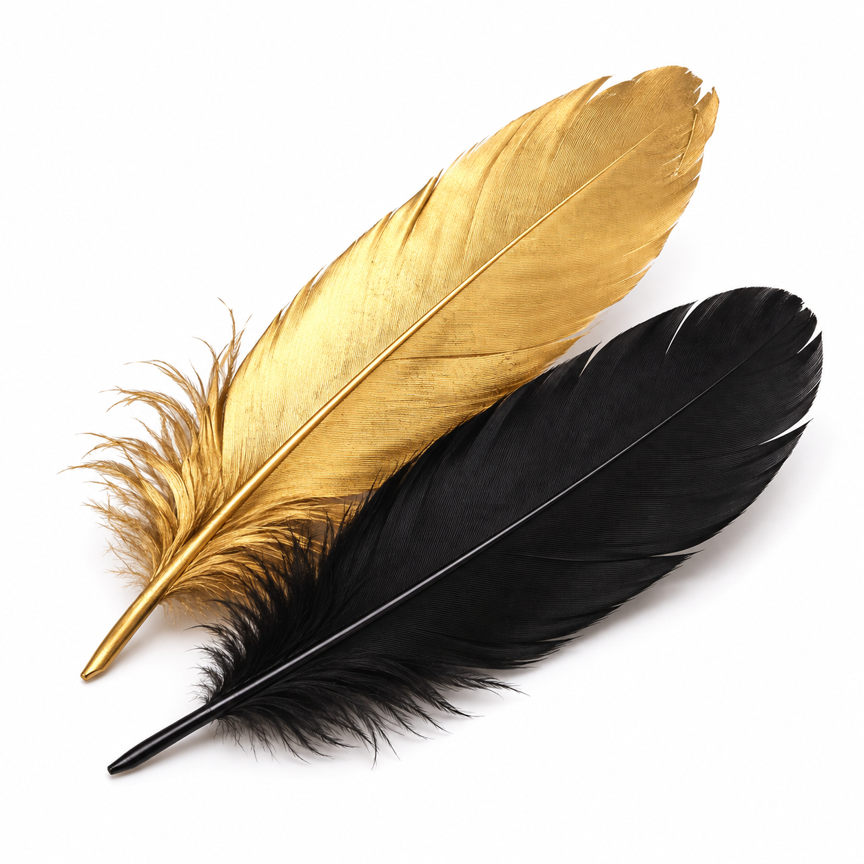Two decorative feathers on a white background: one metallic gold feather and one black feather.