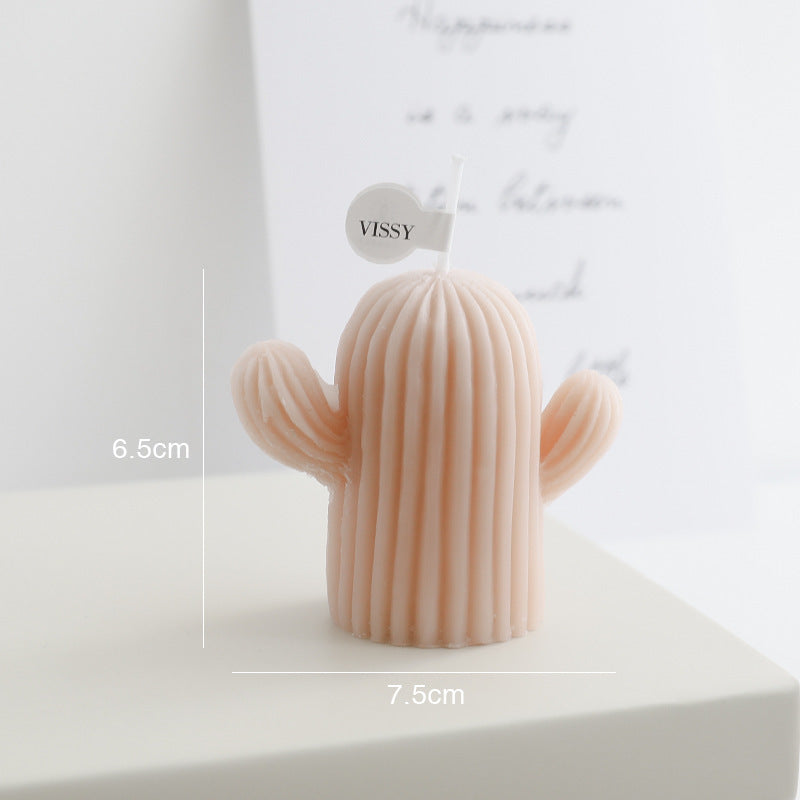 Cactus Candle Gift Box featuring a charming pink cactus design for home decor enthusiasts