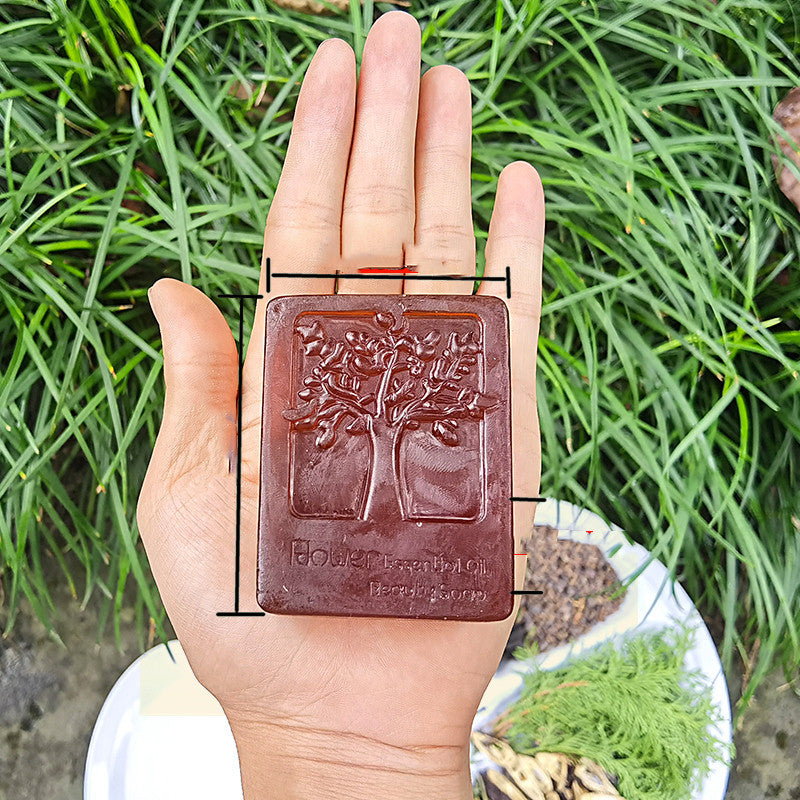 Arts And More Anti-Hair Loss Soap with tree design held in hand over green plants