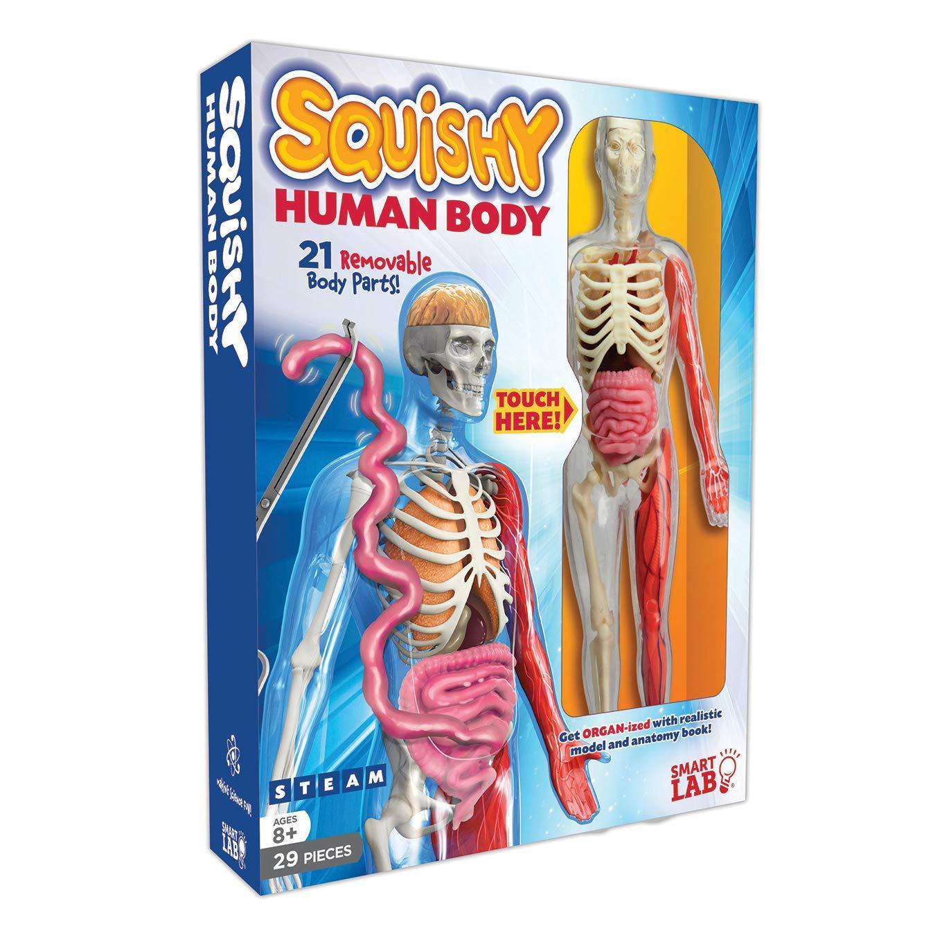 Arts And More Squishy Human Body Kids DIY Kit with 21 removable 3D model toy body parts for ages 8 plus