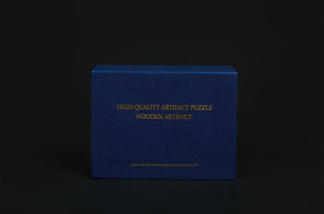 Arts And More wooden dinosaur puzzle arts and crafts kit package in blue box